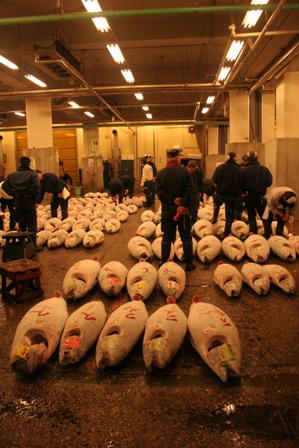 sm20051119 Tsukiji Fish Market 026.jpg